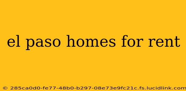 el paso homes for rent