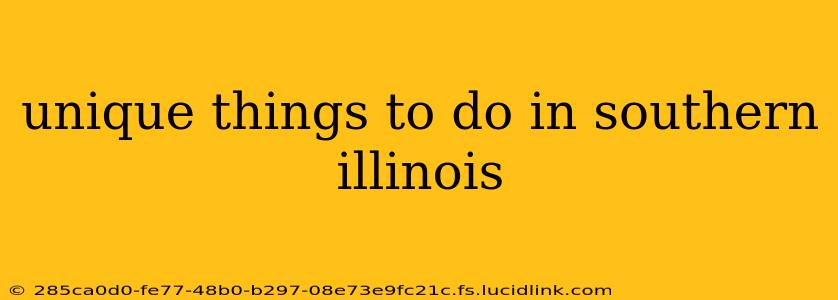 unique things to do in southern illinois